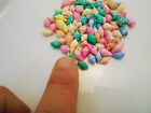 8 Oz  about 500 Shells  Dyed Nassa Mini Shells  1 2   Beach Crafts Seashells