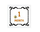 Baby Milestone Milestones Stickers Baby Animal Baby Shower Gift  Months 1-12 