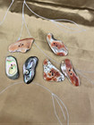 Natural Abalone Shell Free Form Buttons 2 Holes Beautiful Luster