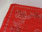 Vintage Elephant Trunk Up 20  X 20  Red Paisley   Flowers Fast Color Bandana