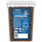 Classic Savory Salmon Flavor Crunchy And Soft Dry Cat Treats Cat Snack  16oz Tub