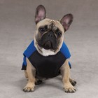 Dog Cat Apparel Clothes Zack   Zoey Blue Fleece Vest W  Ripstop Chest Unisex