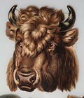 Antique Victorian Large 9  Animal Die Cut Scrap Lot - Lion elephant buffalo 1892