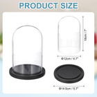 Glass Cloche Display Dome  7  X 4 7  Glass Dome Display Case  Black