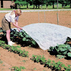 10 Ft  White Polypropylene Floating Row Cover Plant Blanket For Winter Protectio