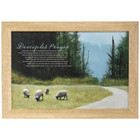 Framed Art The Disciples Prayer 