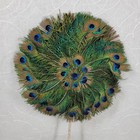 Vintage Peacock Feather Fan 12  Diameter Green Blue Round Wrapped Wood Handle