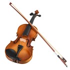 Eastar Eva-330 Acoustic Violin 4 4 Full Size Solid Wood With Case Bows Tuner