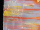 Red Purple Orange Polished Petrified Rainbow Wood Fossil Arizona 800gr