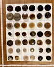 Cool Lot Of 42 Larger Old Antique Vintage  Carved Horn Sewing Buttons