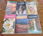 2026-2027 2 Year Planner Calendar Small Pocket 2 Yr Cat Dog Psalms   Others