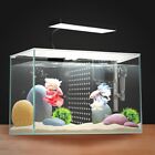 3 Gallon Nano Glass Aquarium W  Led Light Filter Separator Plate Betta New
