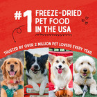 Freeze Dried Raw Chewy   s Chicken Meal Mixers     Dog Food Topper For Small   Large