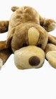 Toysrus Animal Alley Darby Huge 36    Plush Stuffed Dog 2000 Floppy Ears Browns