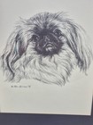 Framed Art Print Pekingese Portrait Dog 1978 Pen   Ink Drawing By Jan Jellins
