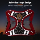 No Pull Harness Small Dogs Puppy Cats Pet Adjustable Reflective Vest W  Leash Us