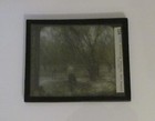 Glass Magic Lantern Slide Harvesting Almonds San Joaquin Co Ca C1910 Photo Usa