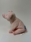 Ty Beanie Baby 2 0 - Sniffs The Pig No Tags Retired 2008