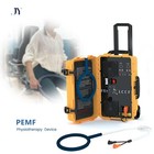 Professional Pemf Physio Magnetic Therapy Pmst Pemt Loop Pemf Health Care Device