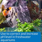 Api Ph Up Freshwater Aquarium Water Treatment Raises Freshwater Tank Ph Up