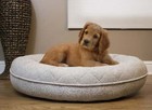 Arlee Donut Lounger And Cuddler Style Pet Bed For Dogs And Cats