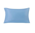 Mainstays Basic Value Microfiber Bed Sheet Set  Light Blue  Twin  3 Piece