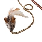 Ourpet s Play-n-squeak Teathered   Feathered Play Wand Cat Toy  For All Breed   