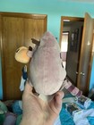 Purple Pusheen W  Orange Pumpkin Halloween 5  Plush Claire s Exclusive 