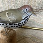 Peter Peltz 6    Wood Thrush Carved Bird Folk Art Cape Cod Elmer Crowell Decoy Art
