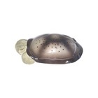 Cloud B Twilight Turtle Constellation Night Light Stars 3 Colors Auto Shut   off