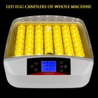 Smart Digital 42 Eggs Incubator Auto Turning Birds Hatcher Visual Window New