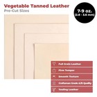 European Leather Work 7-9 Oz  2 8-3 6 Mm  Vegetable Tanned Pre-cut Leather