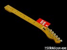 Fender Player Ii Series Telecaster  Hh Tele Neck  tuners  Rolled Edges  Maple