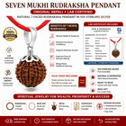 7 Mukhi Rudraksha Original Nepali 925 Silver Pendant With Certificate Free Ship