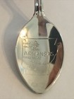 Arkansas Razorback Vintage Souvenir Spoon Collectible