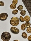 Waterbury Button Co Great Seal Eagle Brass Button Us Military Lot Of 35