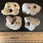 Hag Stones  Set Of 4 Fairy Rocks  Natural Holey Beach Stones From Florida