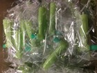 300 X Disposable Prophy Angles  3 X 100 pkg  Beesure