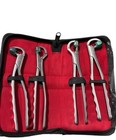 Dental Extraction Physics Forceps Standard Series Set Of 4 Pcs Premium Quality