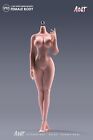 Ant 1 12 Suntan Large Bust Plump Hip Seamless Body 6  Female Action Figure Doll
