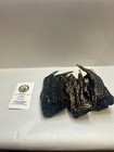 Lot Of 5 Large American Alligator Feet 4-6    Louisiana