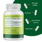 Ginkgo Biloba 120mg  240 Capsules  - Standardized Extract - No Stearates