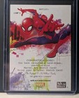 2021 Skybox Marvel Metal Universe Spiderman Vulture Sketch Card   1 1 Spider-man
