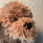 Fao Schwarz Tan Labradoodle Puppy Dog Plush Soft Fuzzy Shaggy Stuffed Animal 21 