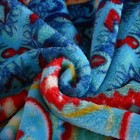 Lightweight Soft Plush Fleece Blanket Bed Sofa Beauty Pattern Printed 79 x81
