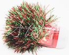Bath   Body Works Pocketbac Holder Anti Bacterial Gel Green Red Tinsel Ball New