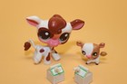Nr A Hasbro Littlest Pet Shop Set 2505 2506