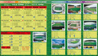 World Cup Panini Football Collections 1970-2026 Paperback By Acc Art Books