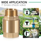 1 Inch Brass Check Valve Well Pump 1 In Npt Male fnpt Out For Sp0465x100