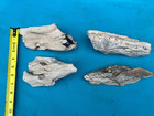 Texas Petrified Fossil Wood Lot Agatized Rotted Weathered Aquarium Aquascape